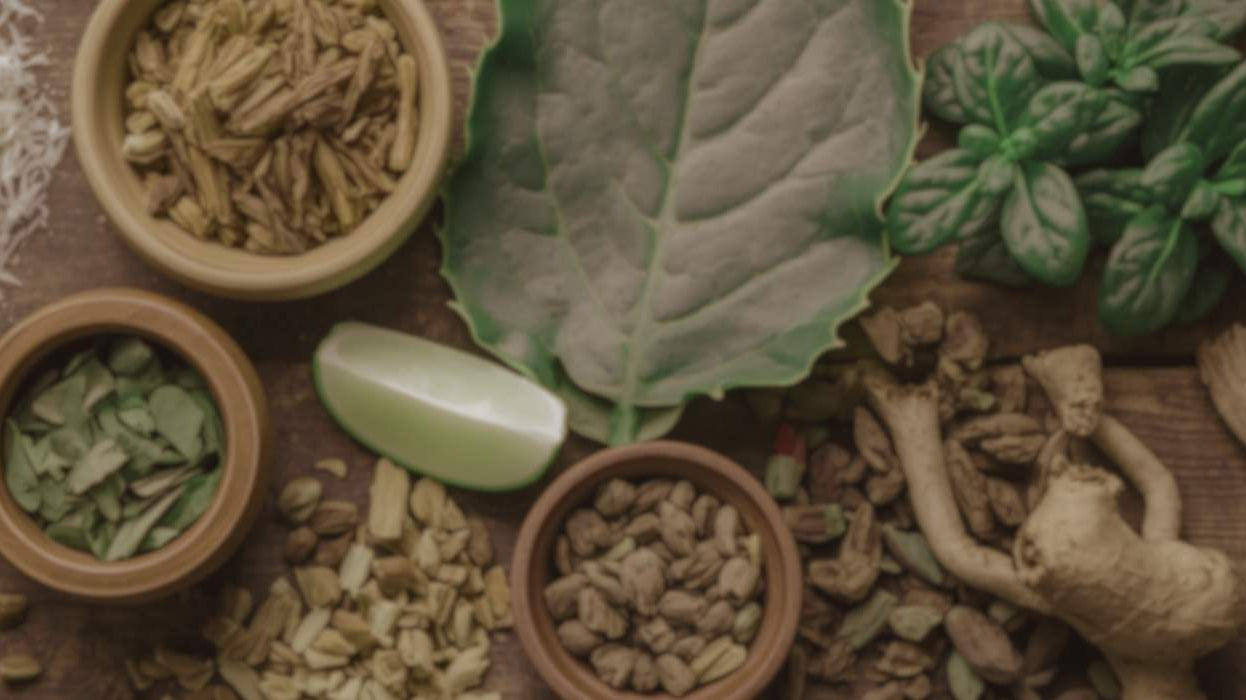 What's In Diju? | Temple Natural Health