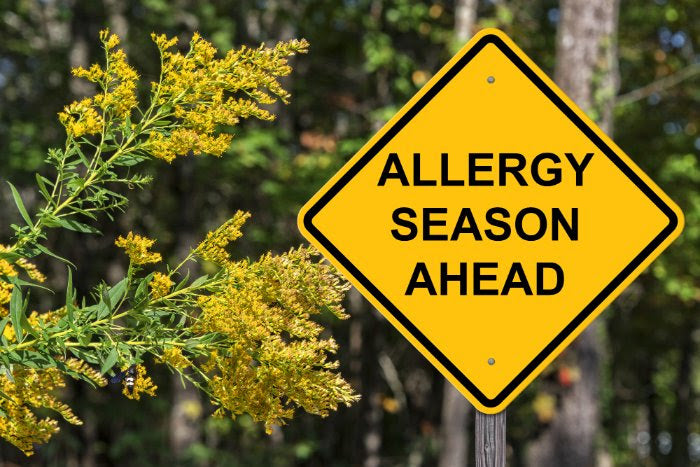 The Hidden Roots of Allergies, Eczema and Asthma: Pre-recorded Class