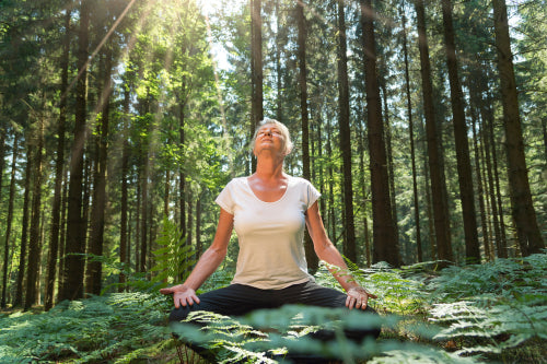 Cleansing Yoga Class: Pre-recorded, Online & Free