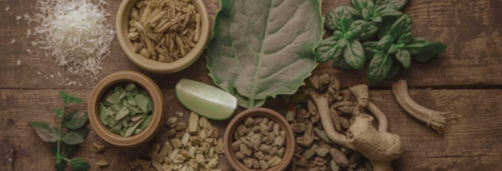 What's In Diju? | Temple Natural Health
