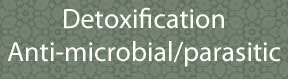 Detox  - Antimicrobial/Antiparasitic