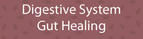 Digestive System - Gut Healing