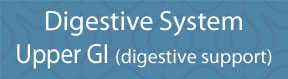Digestive System - Upper GI (digestive support)