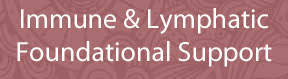 Immune & Lymphatic - Foundational Support