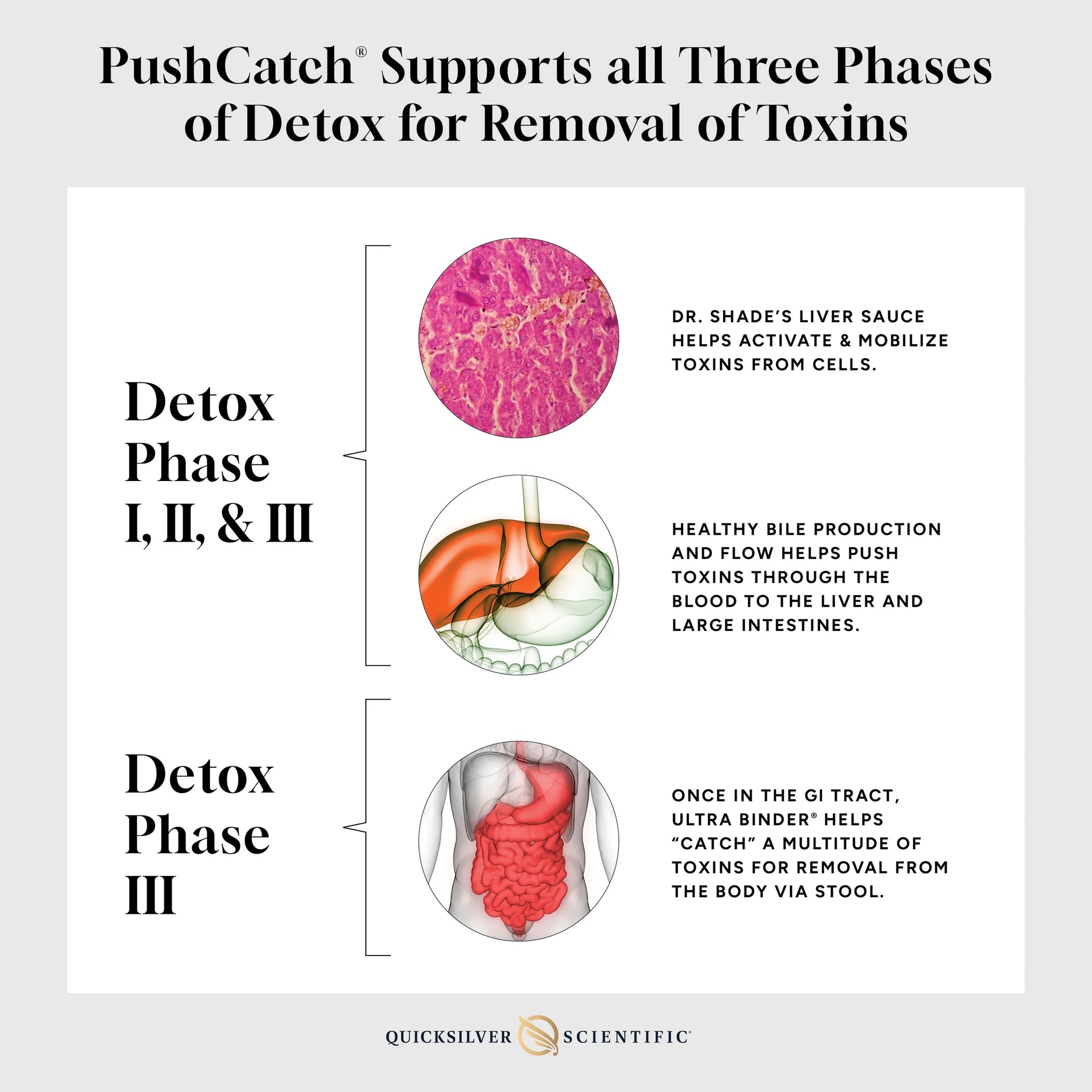 PushCatch Liver Detox - Quicksilver