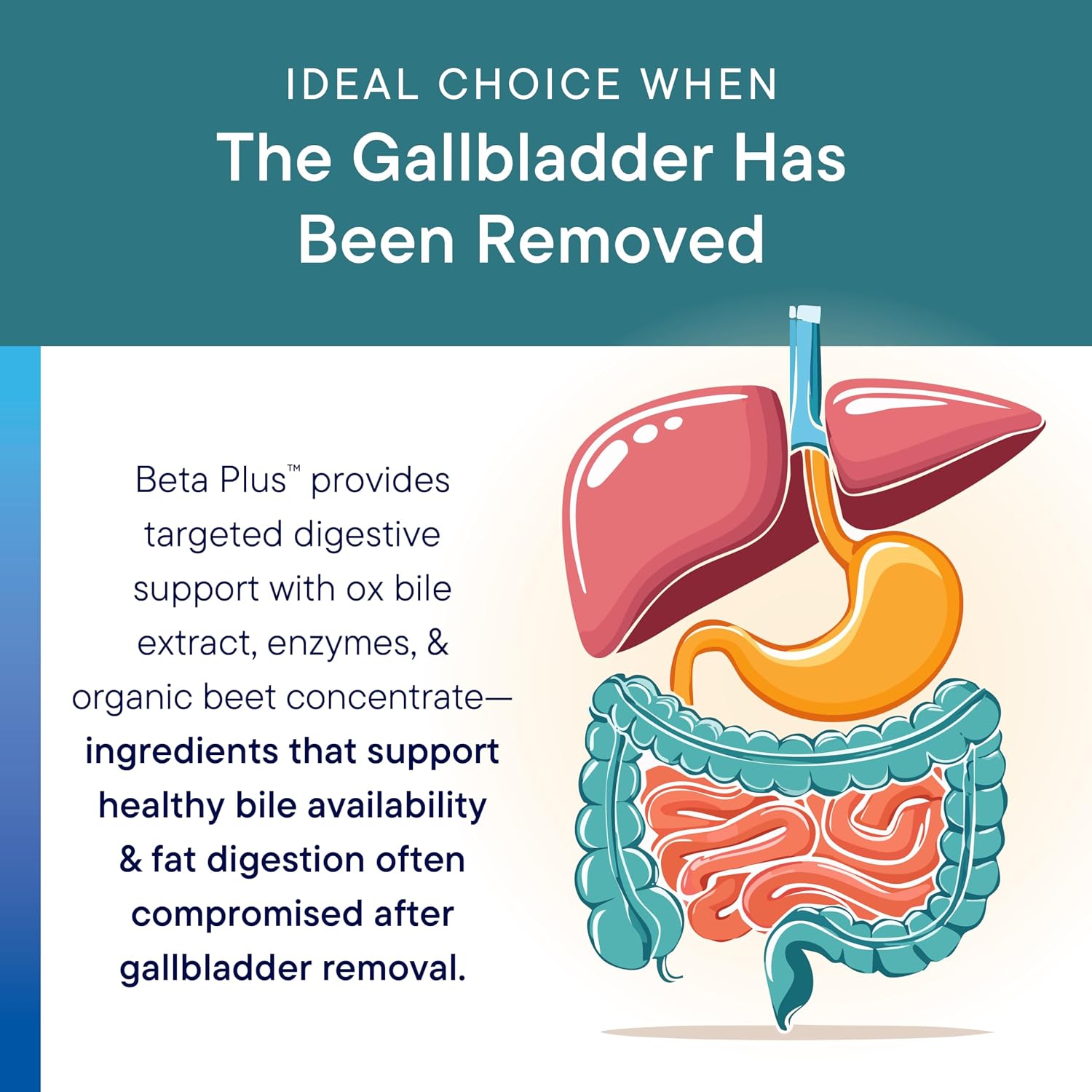 Beta Plus - Biotics