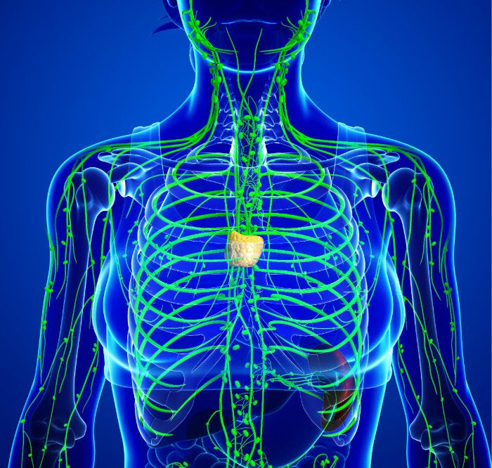 Lymphatic Health Seminar - Pre-recorded Class